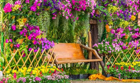 Duftender Garten: Blumen und Sträucher mit den wunderbarsten Düften