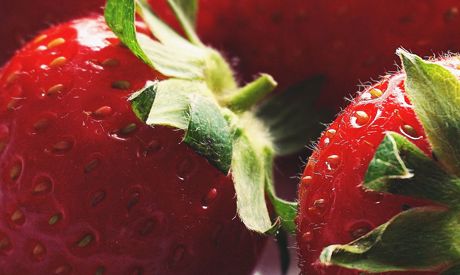 Sommer im Garten: Arbeit und Entspannung