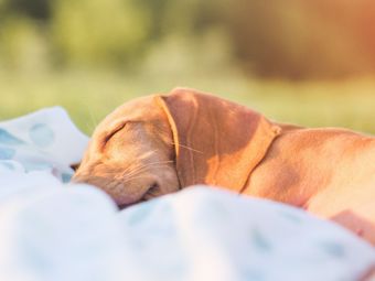 Entspannen Sie sich zu Hause 1. Teil – Entspannung im Garten