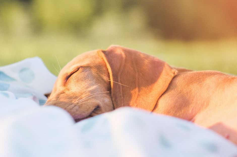 Entspannen Sie sich zu Hause 1. Teil – Entspannung im Garten