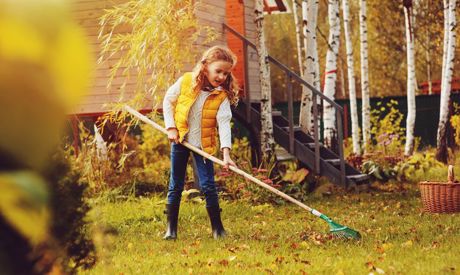 November im Garten – wie kann man einen Nutzgarten am besten winterfest machen