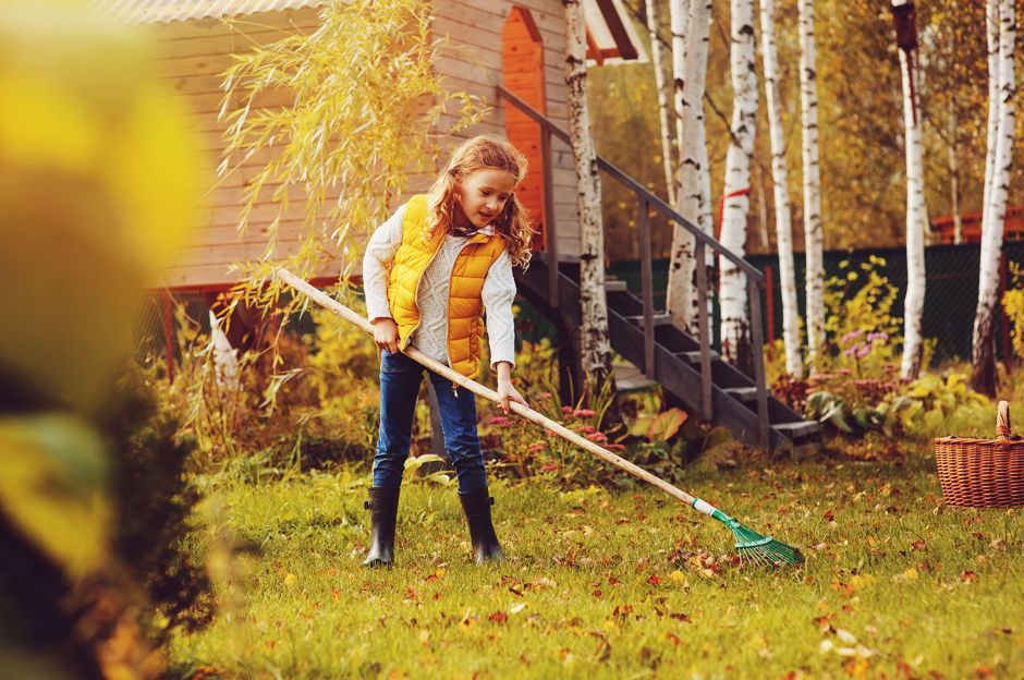 November im Garten – wie kann man einen Nutzgarten am besten winterfest machen