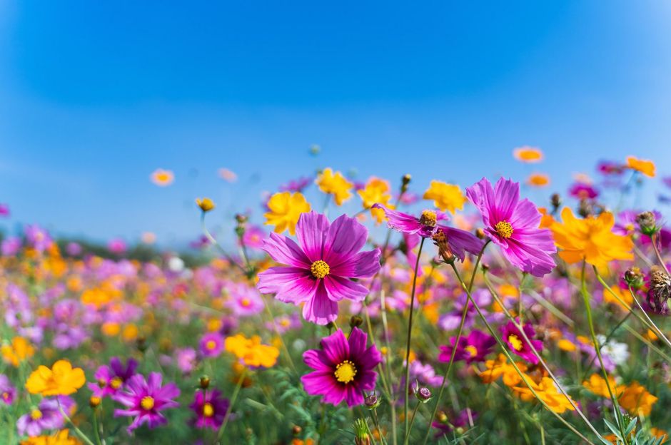 Der Sommer beginnt. Feiern Sie ihn auch mit den Zwergen