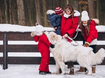 So hat man im Winter Spaß: Winterliche Outdoor-Aktivitäten für die ganze Familie