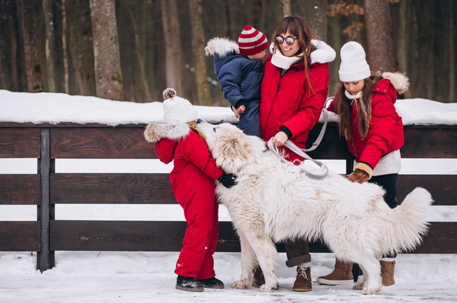 So hat man im Winter Spaß: Winterliche Outdoor-Aktivitäten für die ganze Familie