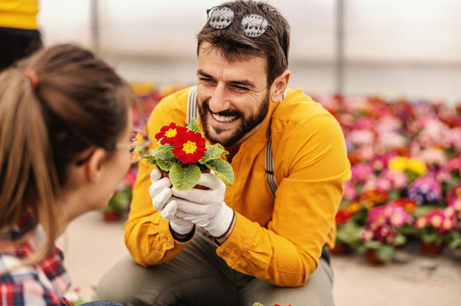 Der Februar ist der Schlüsselmonat zur Planung eines Frühlingsgartens 