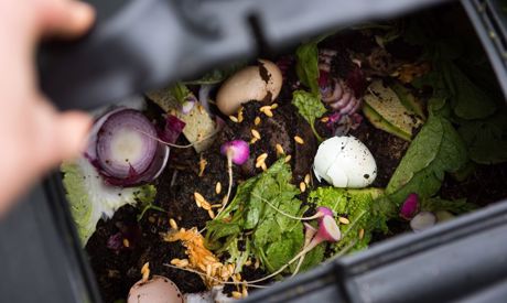 Die neuesten Trends im Garten: Welche Pergolen sind angesagt und warum sollte man kompostieren?