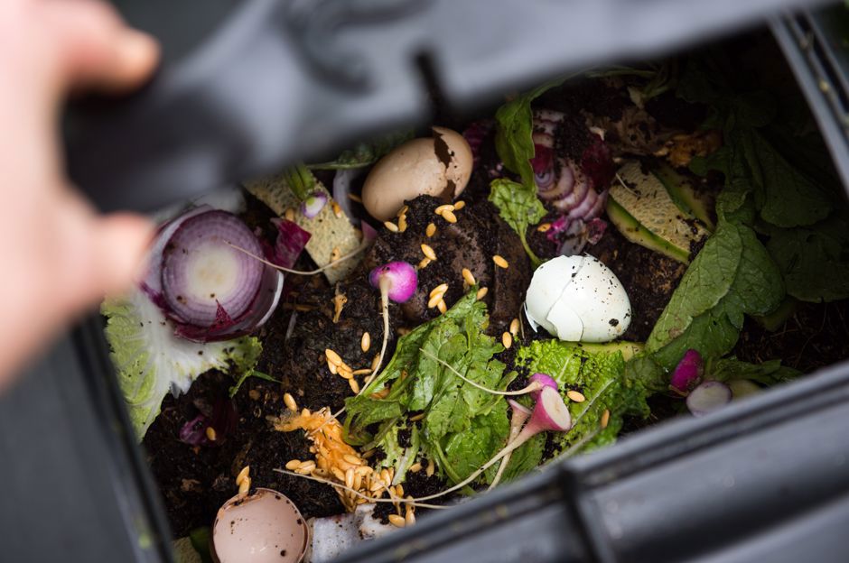 Die neuesten Trends im Garten: Welche Pergolen sind angesagt und warum sollte man kompostieren?